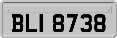 BLI8738