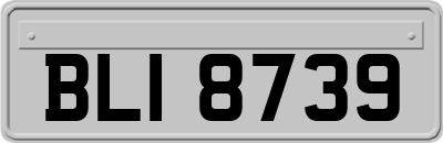 BLI8739