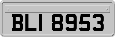 BLI8953