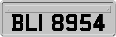 BLI8954