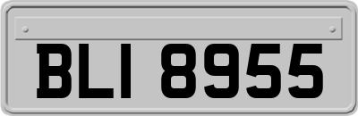 BLI8955