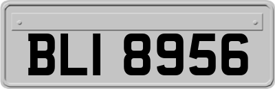 BLI8956