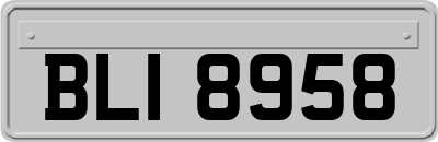 BLI8958