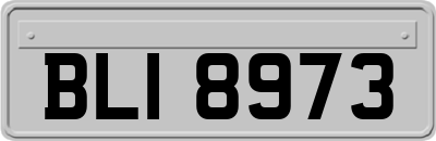 BLI8973