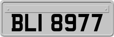 BLI8977