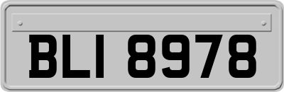 BLI8978