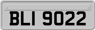 BLI9022