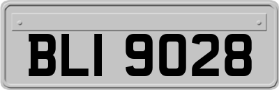 BLI9028