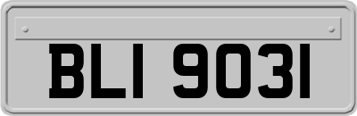 BLI9031