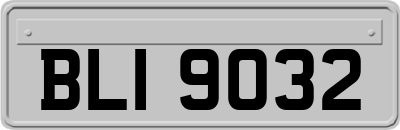 BLI9032