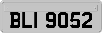 BLI9052