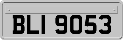 BLI9053
