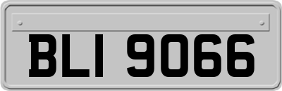 BLI9066