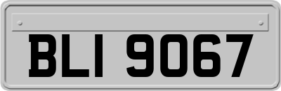 BLI9067