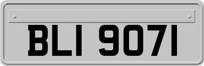 BLI9071
