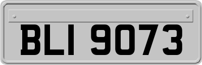 BLI9073