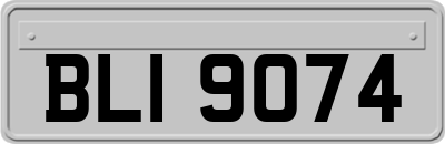 BLI9074