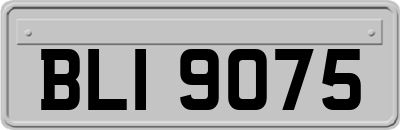 BLI9075