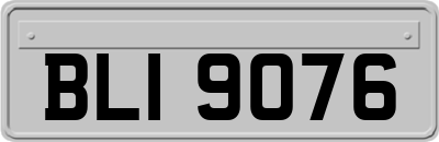 BLI9076