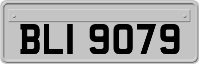 BLI9079