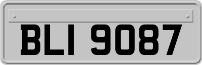 BLI9087