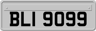 BLI9099
