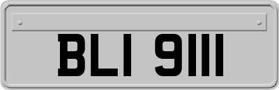 BLI9111