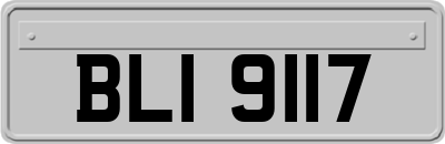 BLI9117