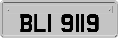 BLI9119