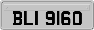 BLI9160