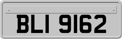 BLI9162