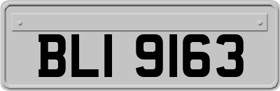 BLI9163