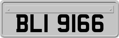 BLI9166