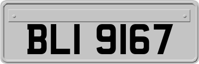 BLI9167