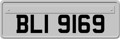 BLI9169