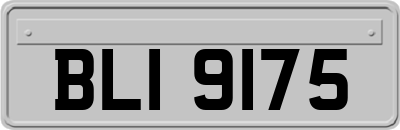 BLI9175