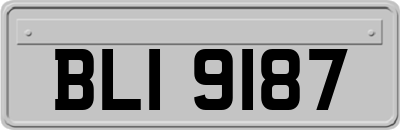 BLI9187