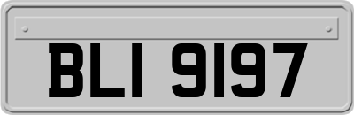 BLI9197