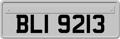 BLI9213