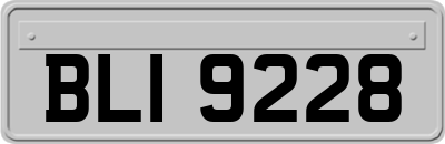 BLI9228