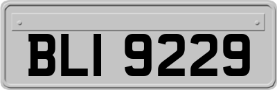 BLI9229