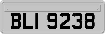 BLI9238