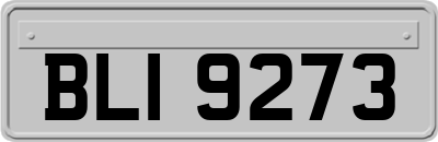 BLI9273