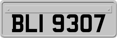 BLI9307