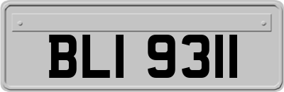 BLI9311