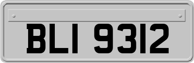 BLI9312