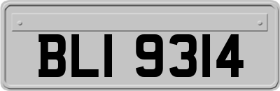 BLI9314