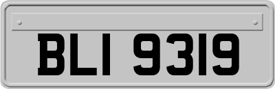 BLI9319
