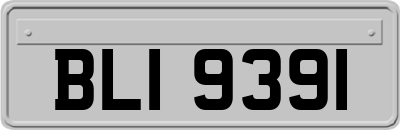 BLI9391