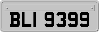 BLI9399